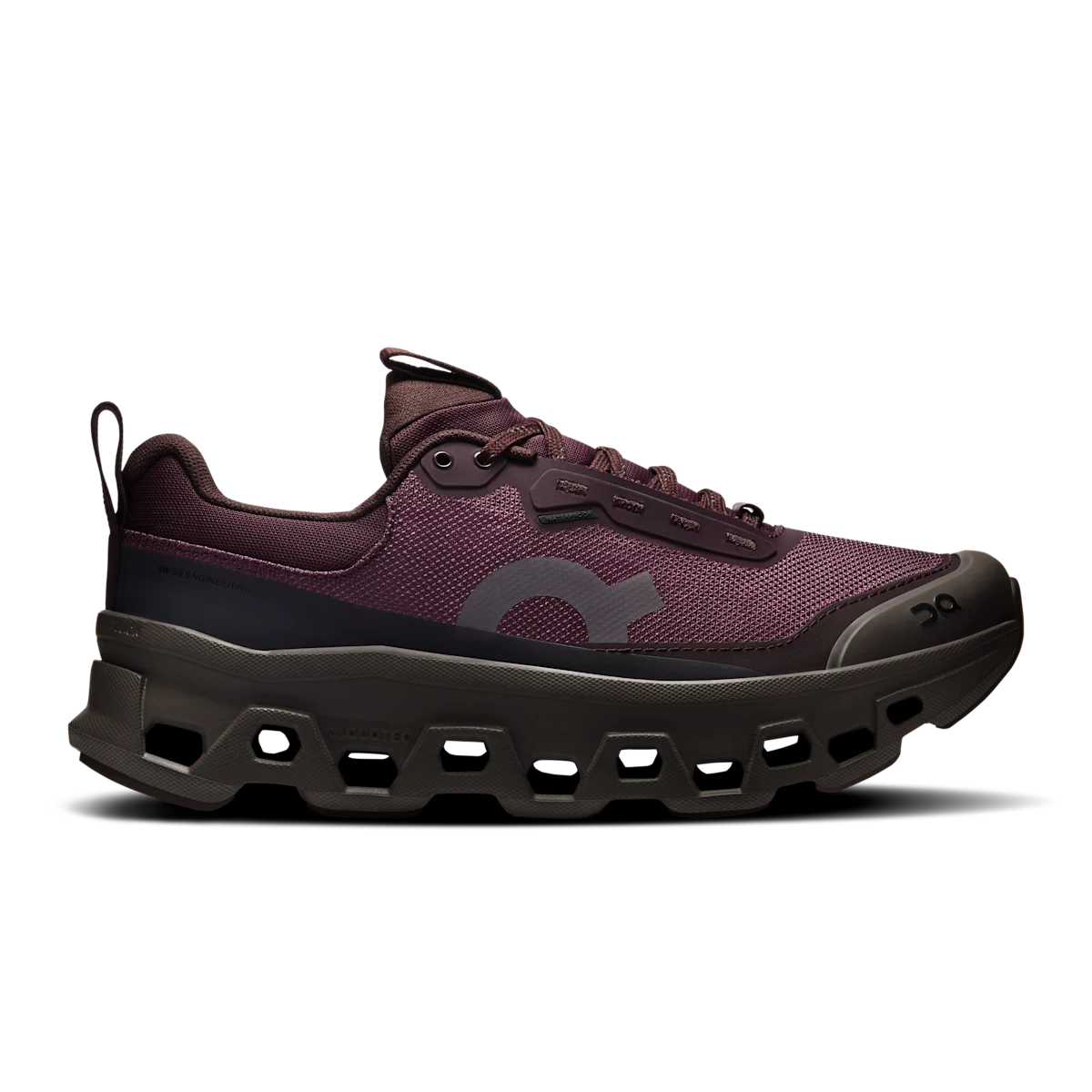 Cloudmonster 1 Waterproof Urchin | Pebble