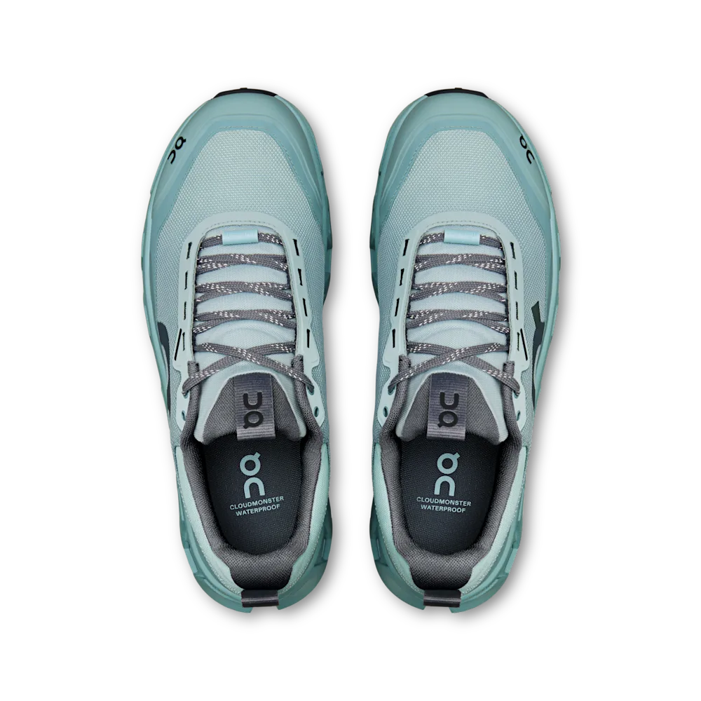 Cloudmonster 1 Waterproof Brook | Wash — 2